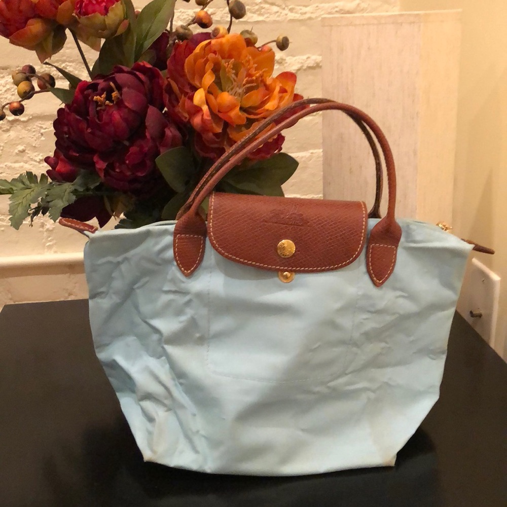 Small blue Long Champs bag